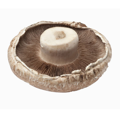 Funghi Portobello