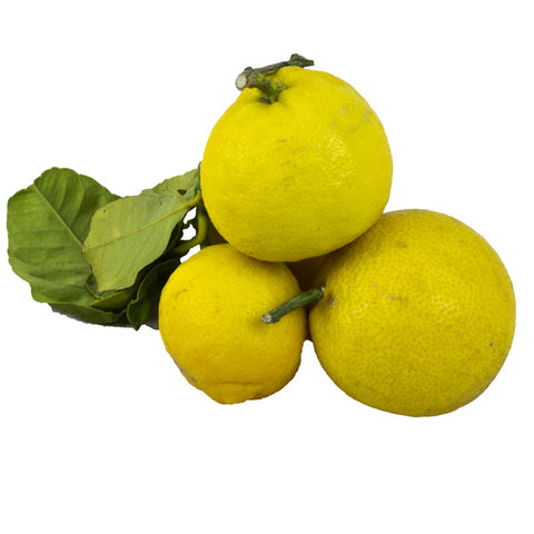 Limoni bio buccia edibile