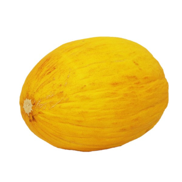 Melone Giallo